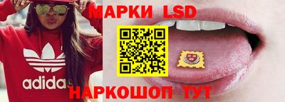 ECSTASY Камышлов