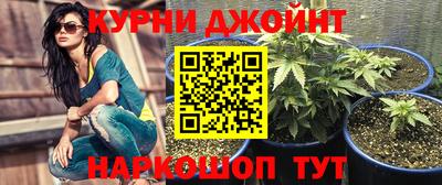 ECSTASY Камышлов