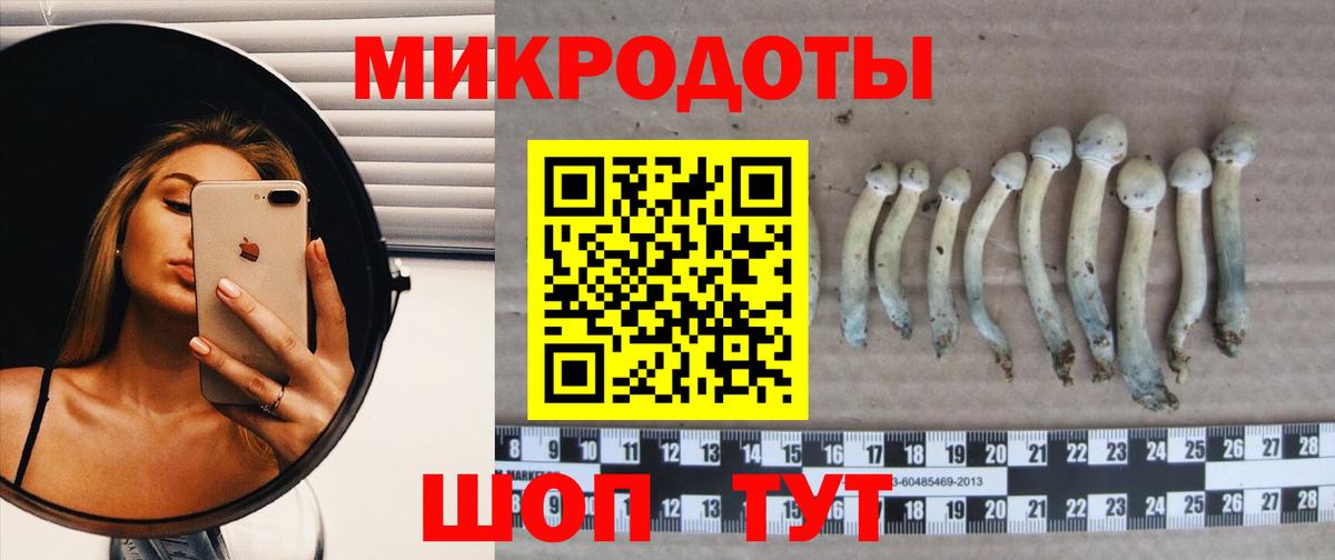 Феодосия  Псилоцибиновые грибы ЛСД  где купить   Вход с VPN 